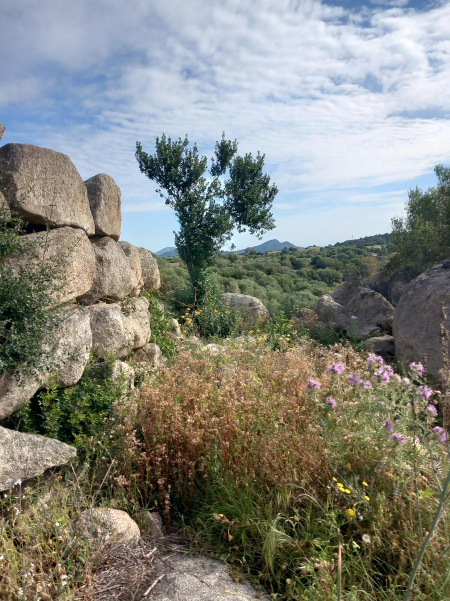 Beth La Casa Della Luna Annunziata  Bagian luar foto